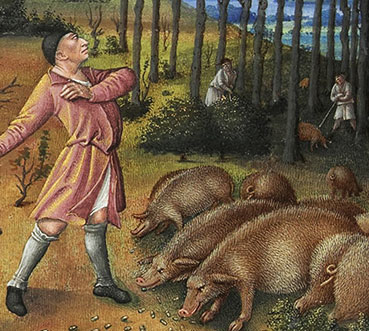 Très Riches Heures - Das Schwein In Der Kunst