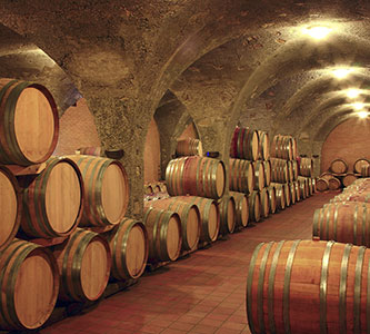 Winekeller In Montefalco | Die Porchetta Von Bevagna