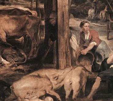 Il maiale nell