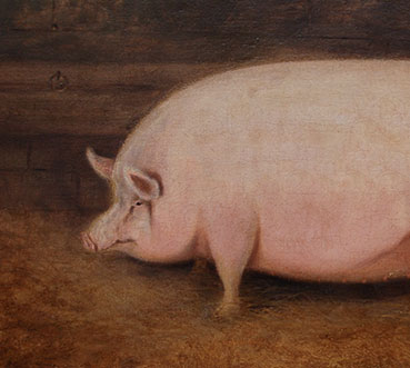 Le porc dans l